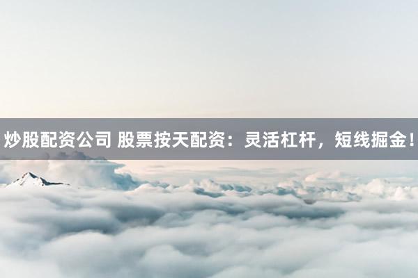炒股配资公司 股票按天配资：灵活杠杆，短线掘金！