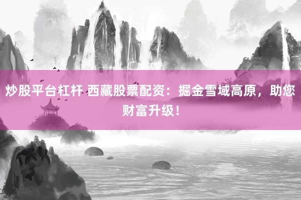 炒股平台杠杆 西藏股票配资：掘金雪域高原，助您财富升级！