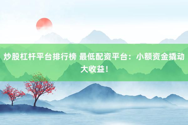 炒股杠杆平台排行榜 最低配资平台：小额资金撬动大收益！