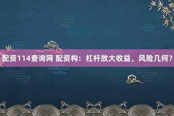 配资114查询网 配资构：杠杆放大收益，风险几何？