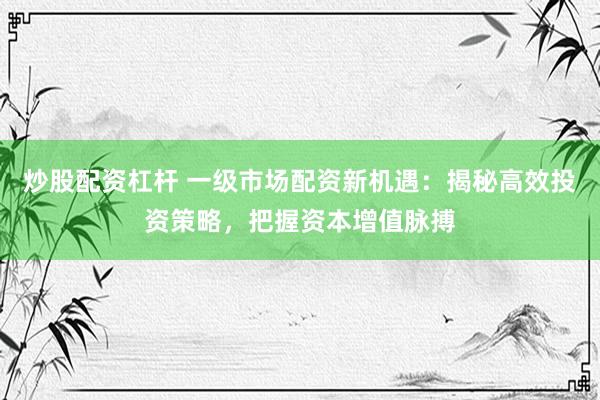 炒股配资杠杆 一级市场配资新机遇：揭秘高效投资策略，把握资本增值脉搏