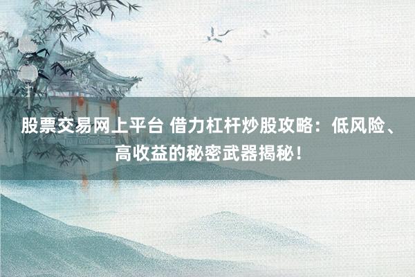 股票交易网上平台 借力杠杆炒股攻略：低风险、高收益的秘密武器揭秘！