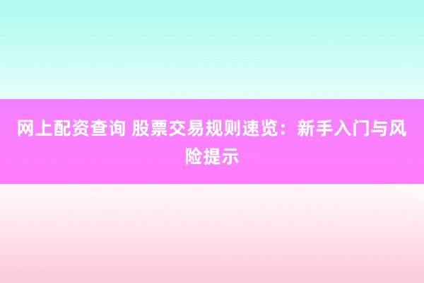 网上配资查询 股票交易规则速览：新手入门与风险提示