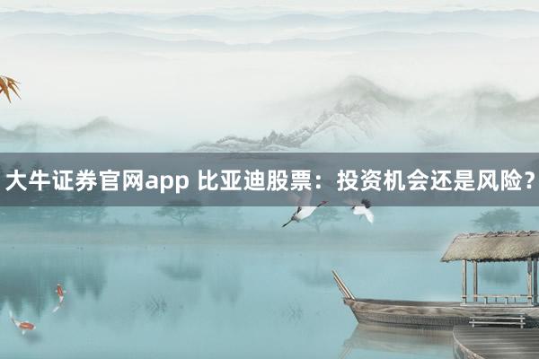 大牛证券官网app 比亚迪股票:投资机会还是风险?