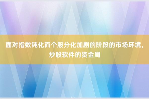 面对指数钝化而个股分化加剧的阶段的市场环境,炒股软件的资金周