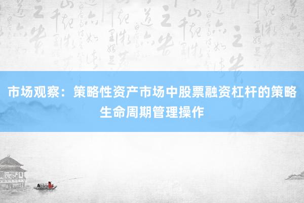 市场观察：策略性资产市场中股票融资杠杆的策略生命周期管理操作