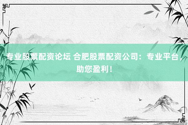 专业股票配资论坛 合肥股票配资公司:专业平台,助您盈利!