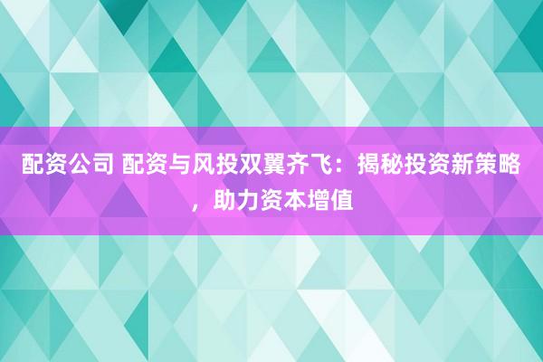 配资公司 配资与风投双翼齐飞：揭秘投资新策略，助力资本增值
