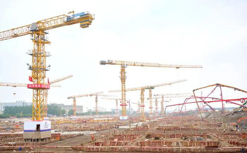浦东机场南区地下交通枢纽第一阶段桩基施工完成